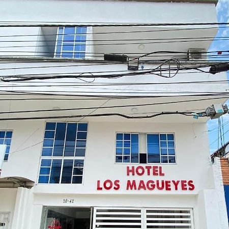 Hotel Los Magueyes Букараманга Экстерьер фото
