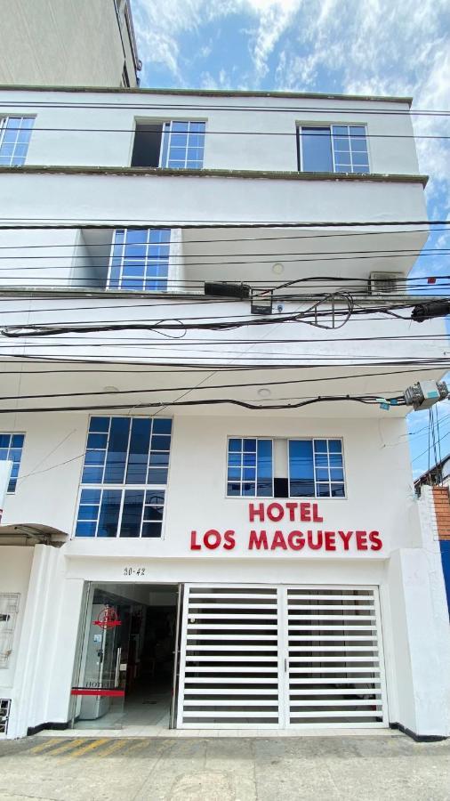 Hotel Los Magueyes Букараманга Экстерьер фото